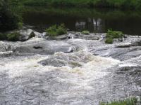 Albums/20060200-New Zealand 2006/20060313-Catlins/18